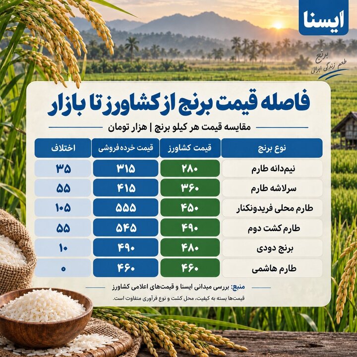 قیمت برنج