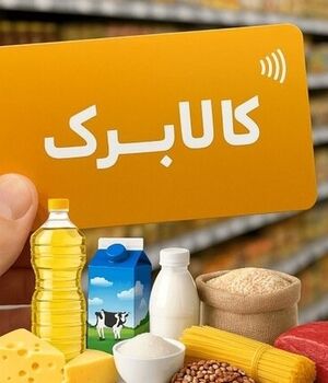 اعلام شرایط افزایش کالابرگ ۴۰ میلیون نفر+ جزییات
