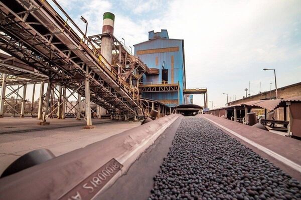 فروش گلگهر دو برابر شد