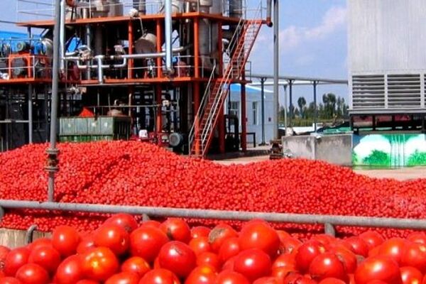 تلاش شرکت شهداب ناب خراسان برای رقابت با بازار
