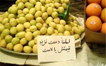 قیمت نجومی میوه‌های وارداتی +جدول