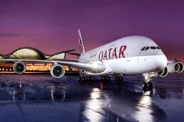 تسهیل صادرات خشکبار به قطر برای جام جهانی