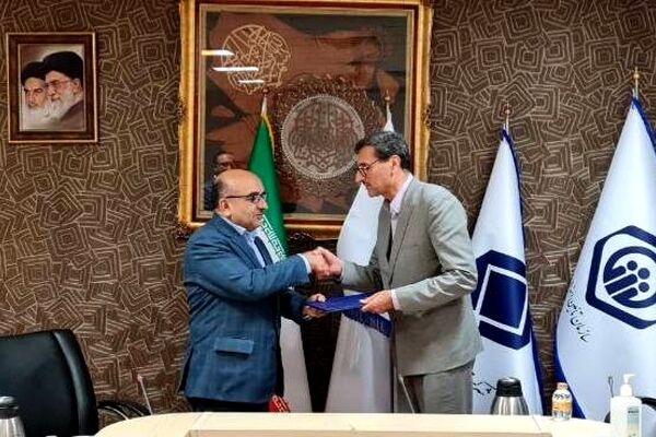 مدیر عامل «تیپیکو» معارفه شد