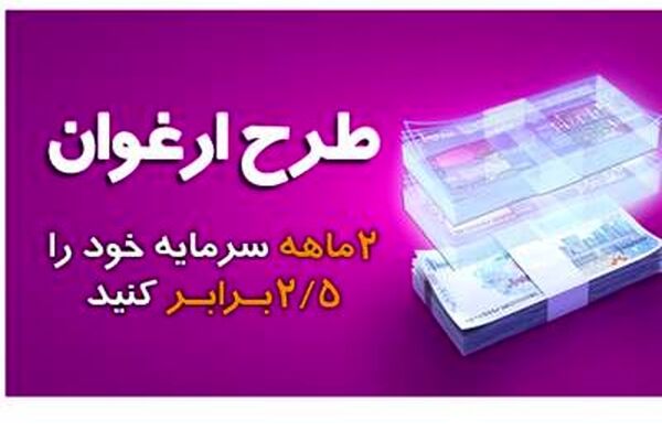 حمایت ارغوانی از کسب و کارهای خرد