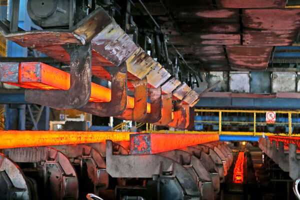 نوسان قیمتی شدید حاصل قیمت‌گذاری دستوری / فاطمی‌امین  از دور وزارت صمت را اداره می‌کند