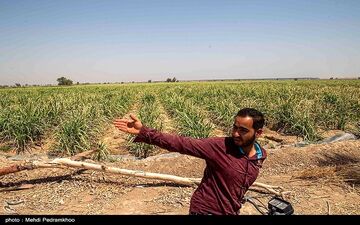 اعتراضات قانونی به هفت‌تپه باز می‌گردد؟ / پشت‌پرده مالکیت هفت‌تپه چه می‌گذرد
