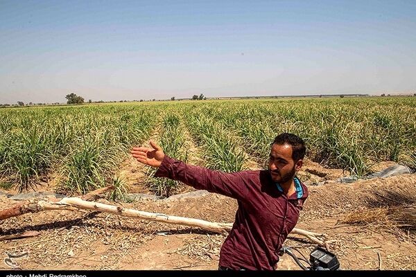 اعتراضات قانونی به هفت‌تپه باز می‌گردد؟ / پشت‌پرده مالکیت هفت‌تپه چه می‌گذرد
