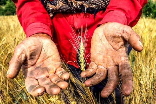 درآمد روستاییان از شهری‌ها بیشتر شد!