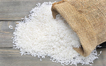 ادامه مشکلات بی‌شمار شالیکاران/  کسری ۲۵۰هزار تنی در بازار برنج