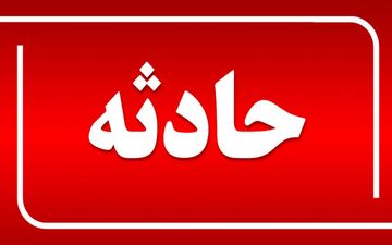 عاملان قتل و مصدومیت چهار کارگر یک گلخانه دستگیر شدند
