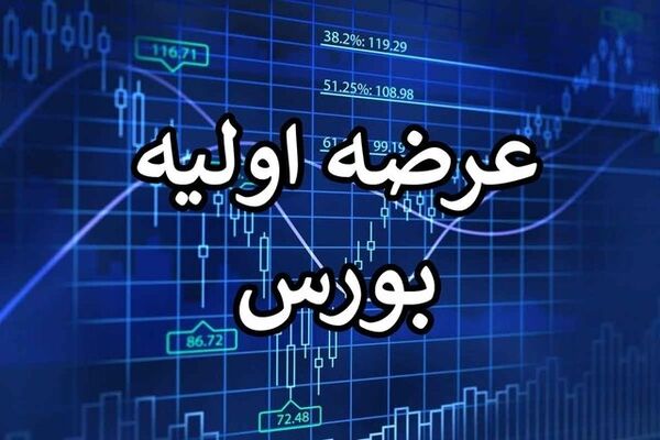 عرضه اولیه ۲۵ نماد در بازار سرمایه/۱۹نماد به فرابورس رفتند