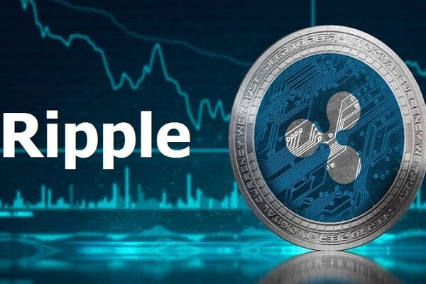 هیجان و احتیاط در پی احتمال همکاری گوگل با ریپل