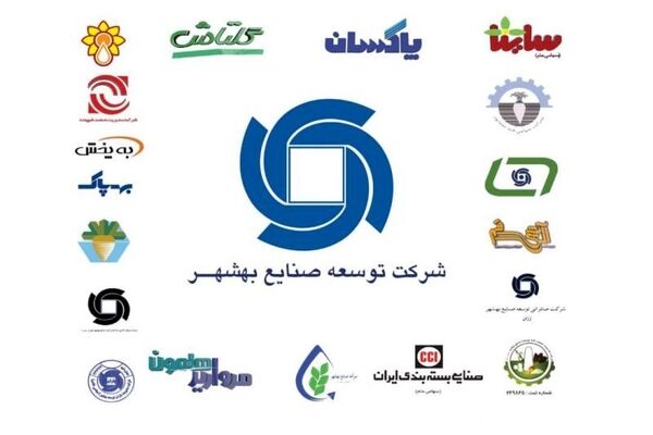 تایید افزایش سرمایه توسعه صنایع بهشهر