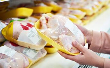 افزایش ۸۰۰درصدی قیمت تخم‌مرغ/حذف مرغ از سفره خانوار