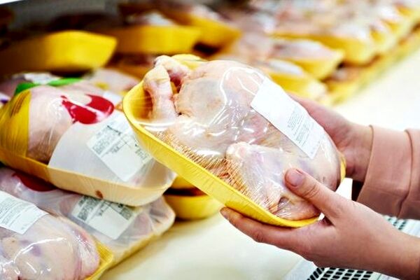 تعدیل قیمت‌ها در بازار مرغ و تخم‌مرغ