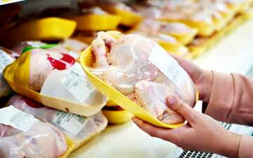 افزایش ۸۰۰درصدی قیمت تخم‌مرغ/حذف مرغ از سفره خانوار