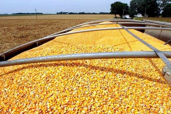 مبلغ اضافه دریافتی عوارض تجار نهاده‌های دام و طیور عودت داده می‌شود؟
