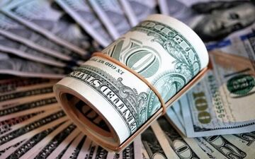 تبعات حذف ارز ترجیحی برای معیشت خانوار