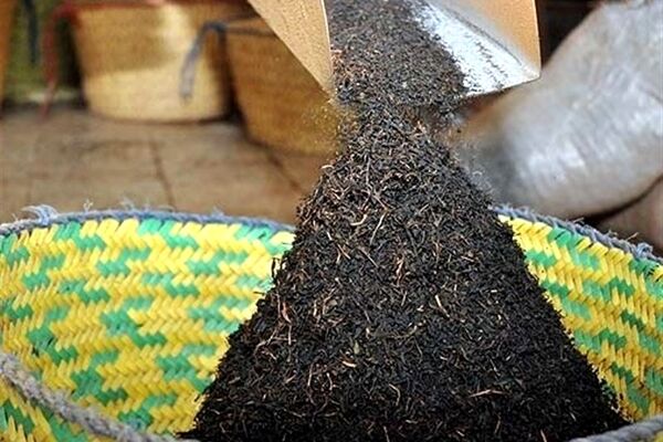 واکنش رسمی قوه قضاییه به فساد مالی بزرگ در واردات چای + فیلم