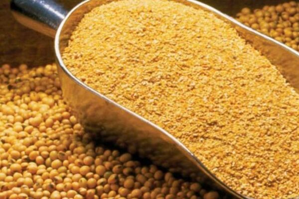 انتقاد از اختلال در تحویل سهمیه سبوس دامداران استان تهران