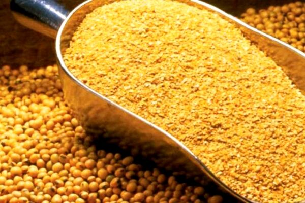انتقاد از اختلال در تحویل سهمیه سبوس دامداران استان تهران