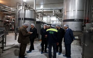 حمایت دولتی، پیش‌شرط رونق تولید