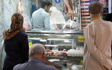 روایت مرکز آمار از افزایش تولید و  عرضه مرغ