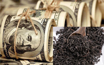 واکنش رییس دستگاه قضا به اختلاس بزرگ در صنعت چای / اژه‌ای: با متخلفان برخورد می‌شود + فیلم 