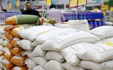 اختلاف ۱۰۰هزار تومانی قیمت برنج با نرخ دستوری/  بازار برنج زیر تیغ التهابات ارزی