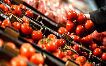  قیمت گوجه فرنگی و پیاز روی موج گرانی