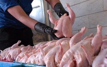قیمت مرغ در بازار چند؟