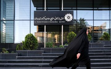 انتقاد شدید  عضو اتاق ایران از برخورد شورای عالی نظارت + فیلم