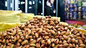 صادرات 27میلیون یورو پسته در بهار ۱۴۰۵
