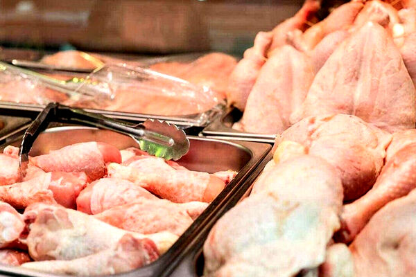 نتیجه معکوس قیمت‌گذاری دستوری در بازار مرغ