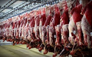 کاهش ۳۰ درصدی مقدار عرضه گوشت قرمز در کشتارگاه‌ها 