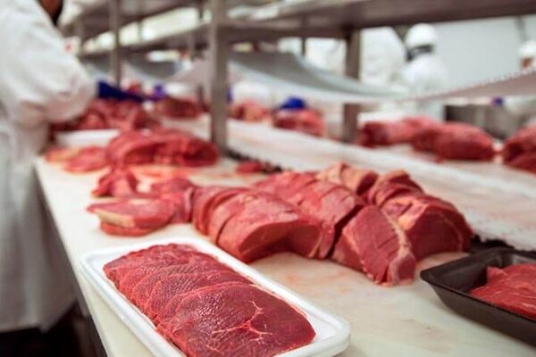 معافیت مالیاتی برای برخی محصولات پروتئینی+جزئیات 