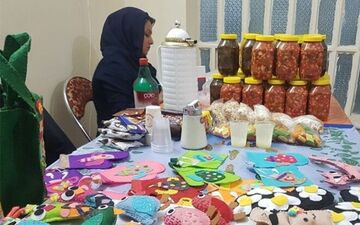 ایجاد ۱۰۰هزار شغل خانگی در سال گذشته 