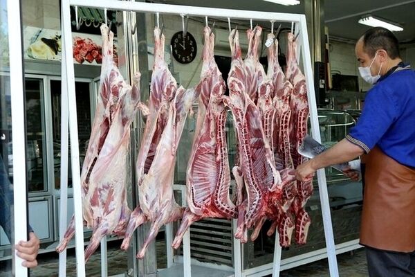 دولت برای تنظیم بازار گوشت دست به دامان واردات شد