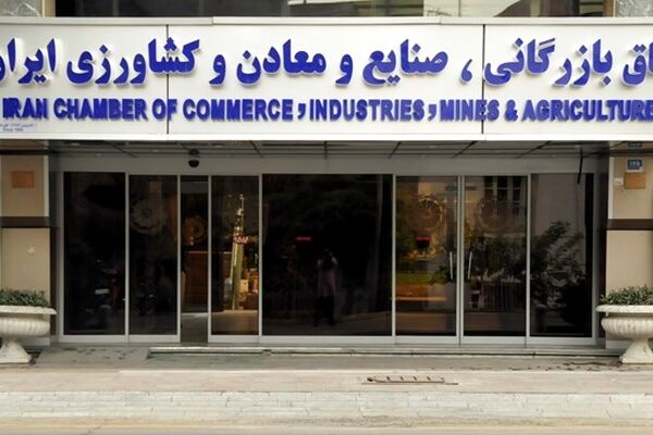 روایت خبرگزاری دولت از پشت پرده برکناری سلاح ورزی +فیلم