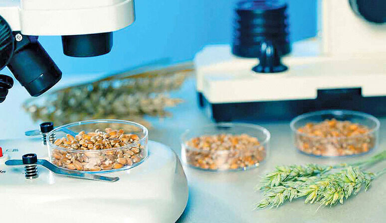 مرکز تحقیقات تغذیه و سلامت، نخستین نماینده رسمی استانداردهای جهانی HGFS در ایران