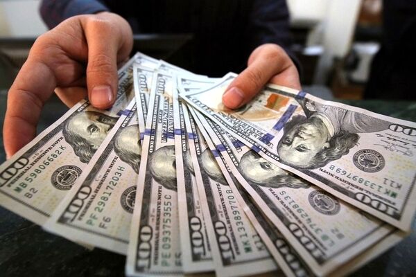 افزایش ۱.۵ درصدی قیمت دلار در یک روز
