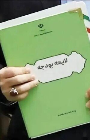 مساله بودجه ۱۴۰۶ تقسیم درآمد میان دستگاه‌ها نیست