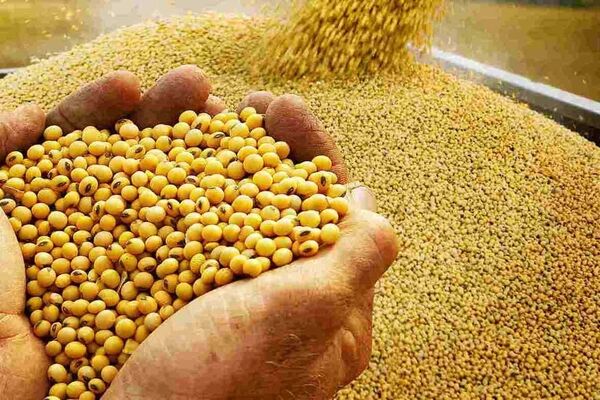 وضع عوارض برای واردات غلات از روسیه و بلاروس