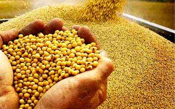 نامه انجمن غلات ایران به وزیر جهاد کشاورزی/  نفت بدهید، سویا بگیرید