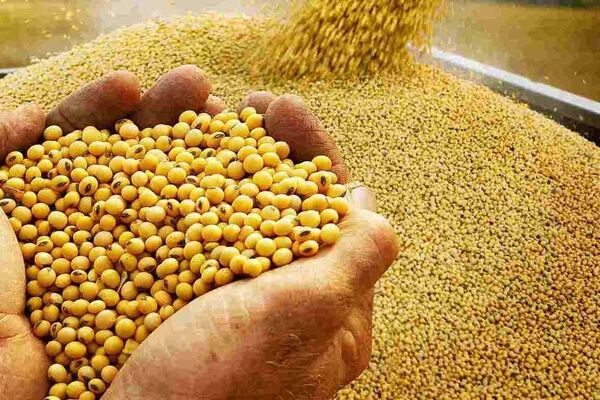 وضع عوارض برای واردات غلات از روسیه و بلاروس