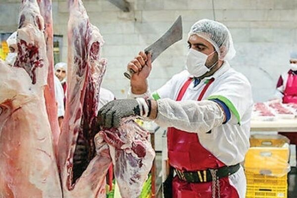 آشفتگی بازار نهادهای دامی/گوشت گران‌تر می‌شود؟