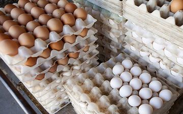 مخالفت مخبر با افزایش قیمت تخم‌مرغ