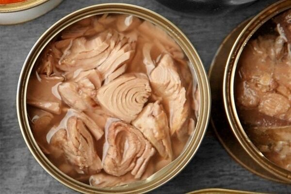 چهار راهکار کاهش قیمت تن ماهی