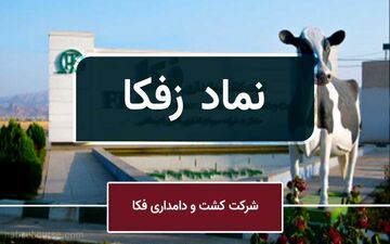 سهامداران کشت و دامداری فکا بخوانند
