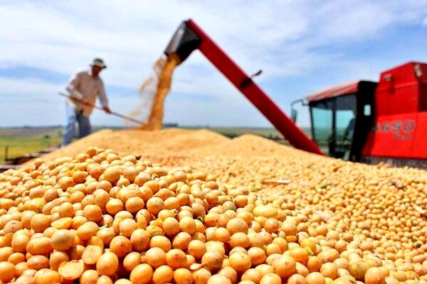 هشدار فعالان صنعت طیور به وزیر کشاورزی 